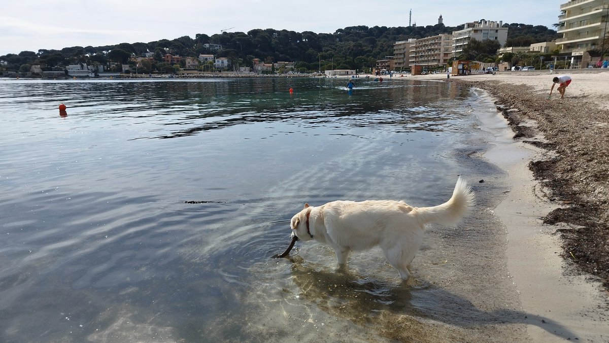 Chapio41's tweet photo. 🌊 Sortie longe côte, une pratique qui se développe ☀️ Ensemble, au grand air  #sport #nature #mixité #WildMove #Antibes #CotedAzurFrance cc @lessportivesmag 😉 https://t.co/7fYfouUsq3
