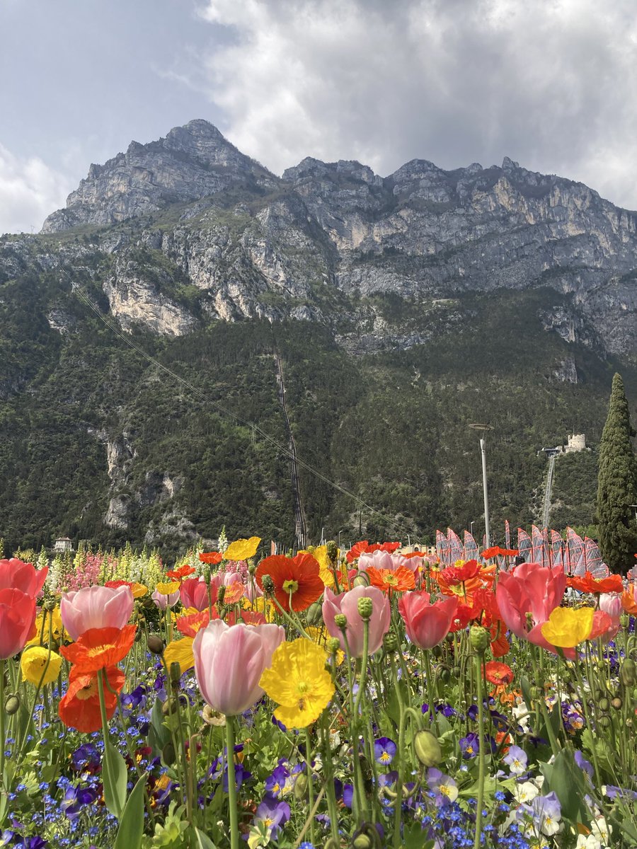 Angela Parker (she/her) tweet media