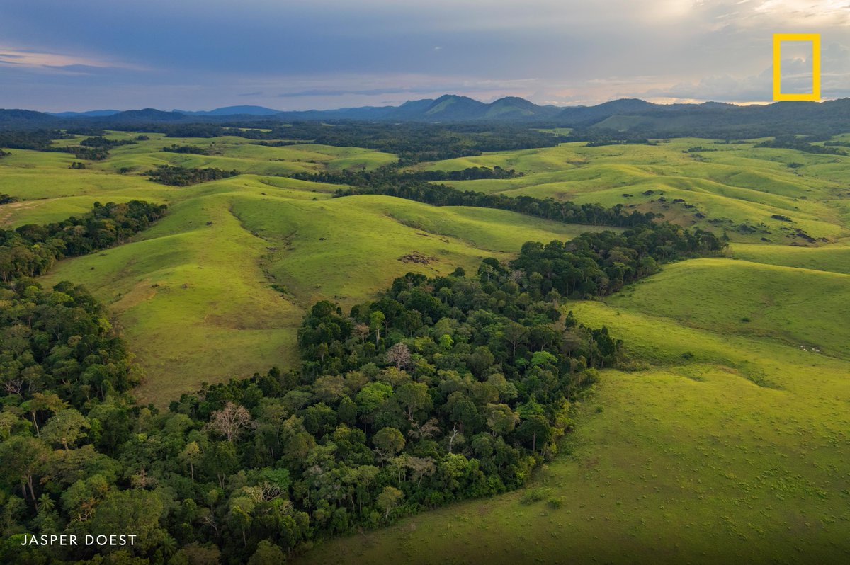 National Geographic tweet media