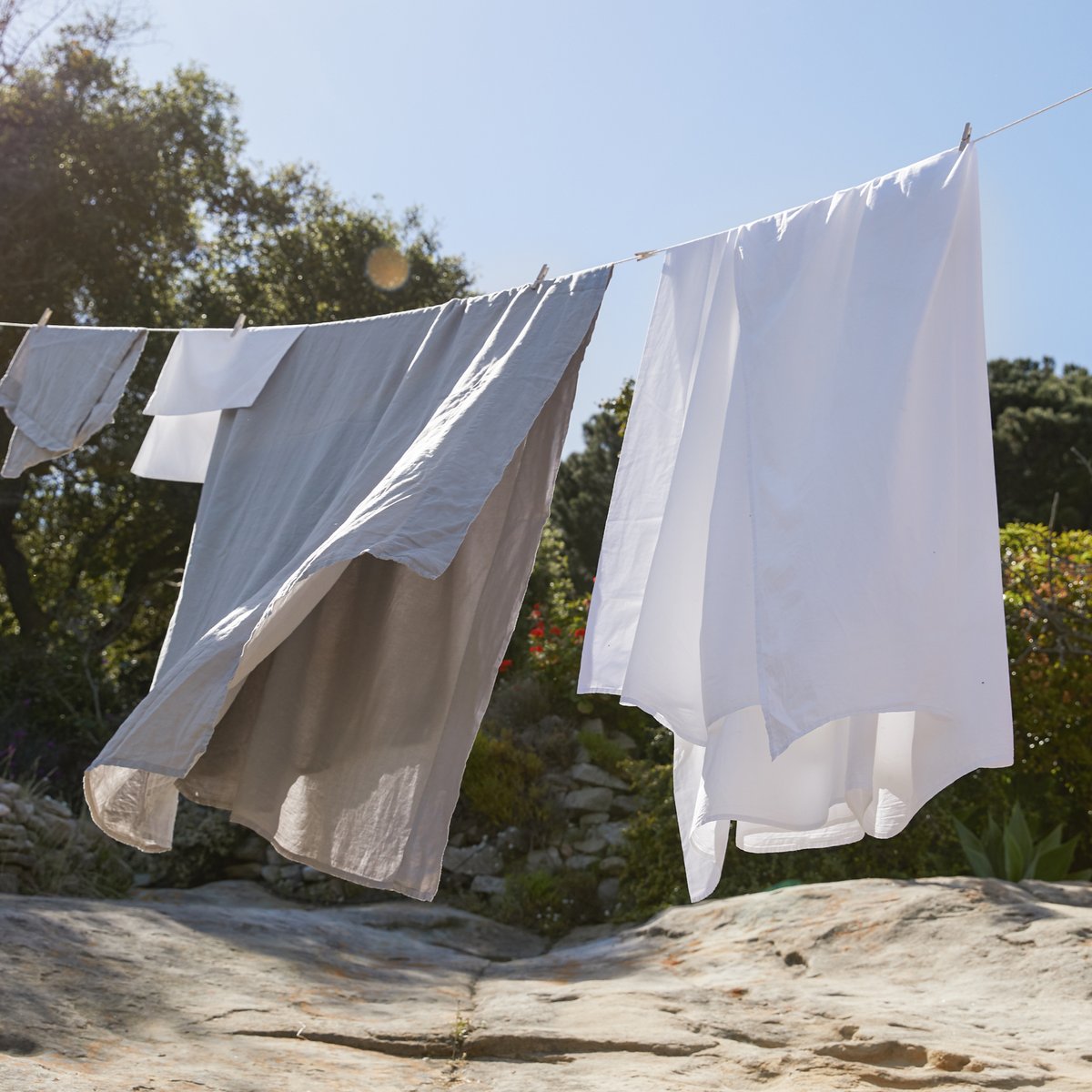 PARACHUTE tweet media