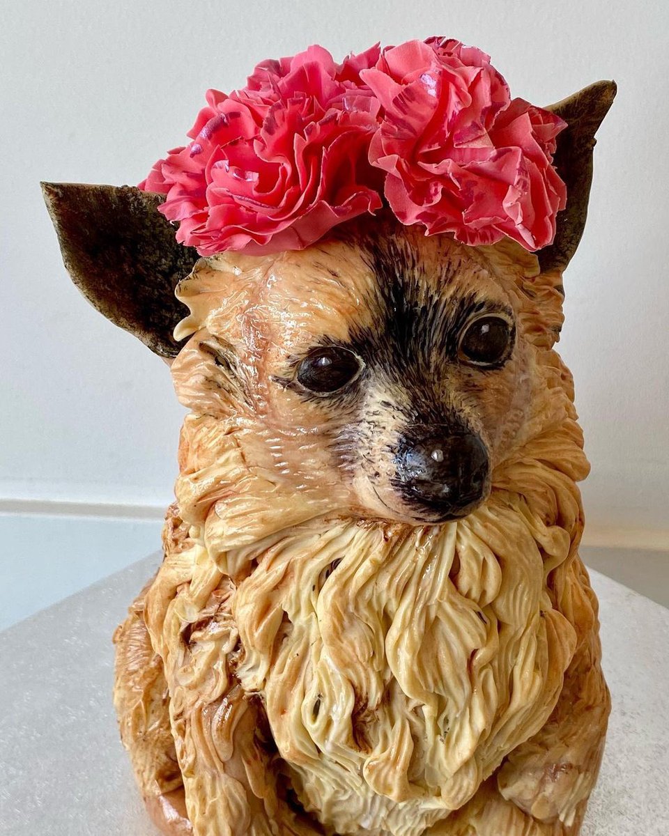 elzasoprano's tweet photo. I honor all the #operadogs! 
#Remmy #lennytristan #Tequila #Ruby #Ernie #River #hammyhamkins #operadogsnorkle #Shorsty #Ferguson #Monteverdi #LaLupe #lincoln_log_the_shihtzu_dog #Beauregard #nahlathedachsund #Nalle #Cavaradossi  #walterbowenbraid  I know there are many more! https://t.co/ACX6EyY3F1