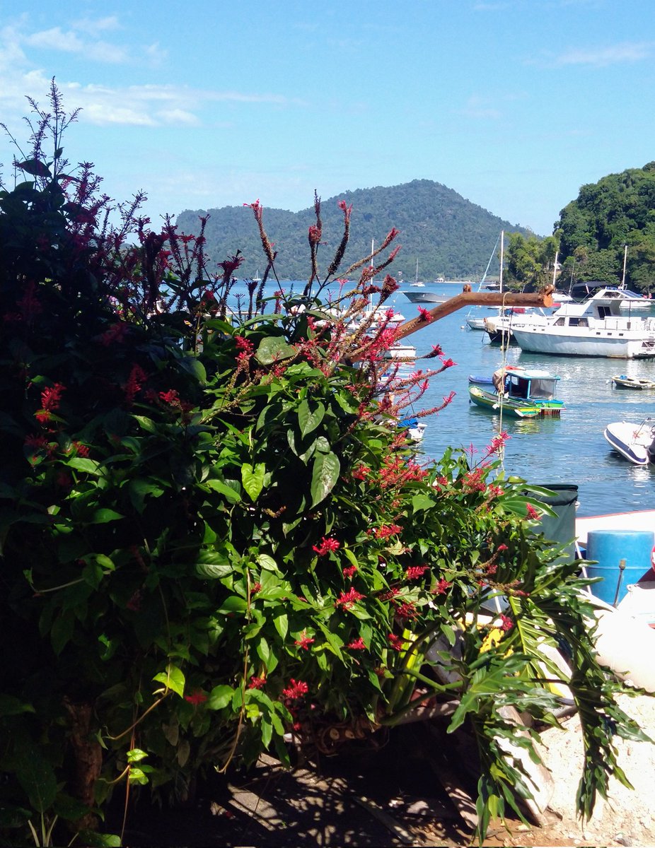 GA 🌿
#NFTCommuntiy #nftphotography
#nftarti̇st