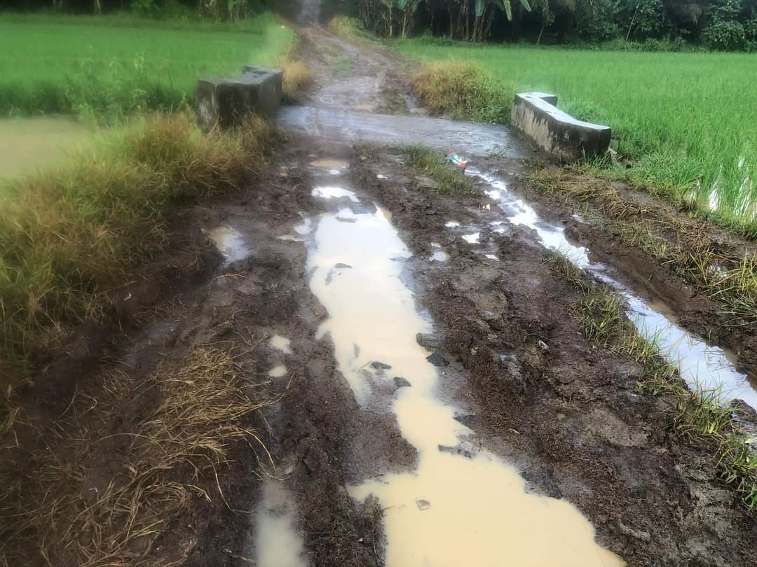 bung_madin's tweet photo. Padahal Pandeglang dari segi infrastruktur sangatlah kurang memadai, ditambah dgn rusaknya akses jalan membuat masyarakat Pandeglang kesulitan untuk pergi ke sekolah, belanja ke pasar dan ke rumah sakit.

Ibu kerja untuk rakyat atau memperkaya diri sendiri.? https://t.co/GkbomE0VfV