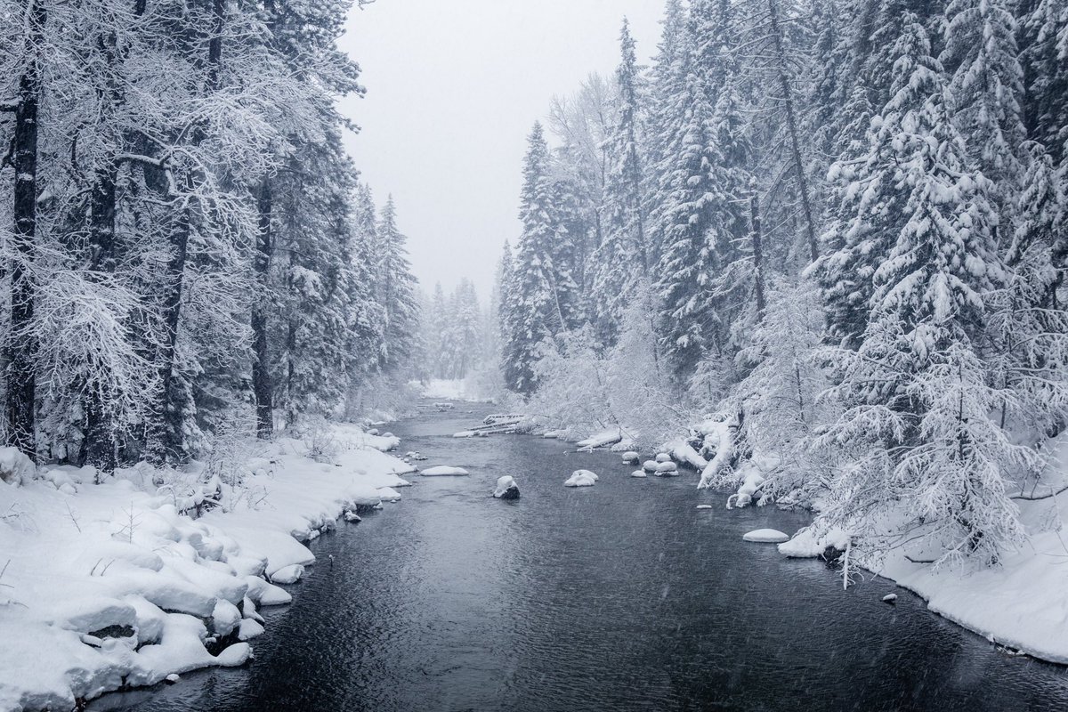 ElliotHawkey's tweet photo. winter scenes in washington state https://t.co/sYkvQaiRr7