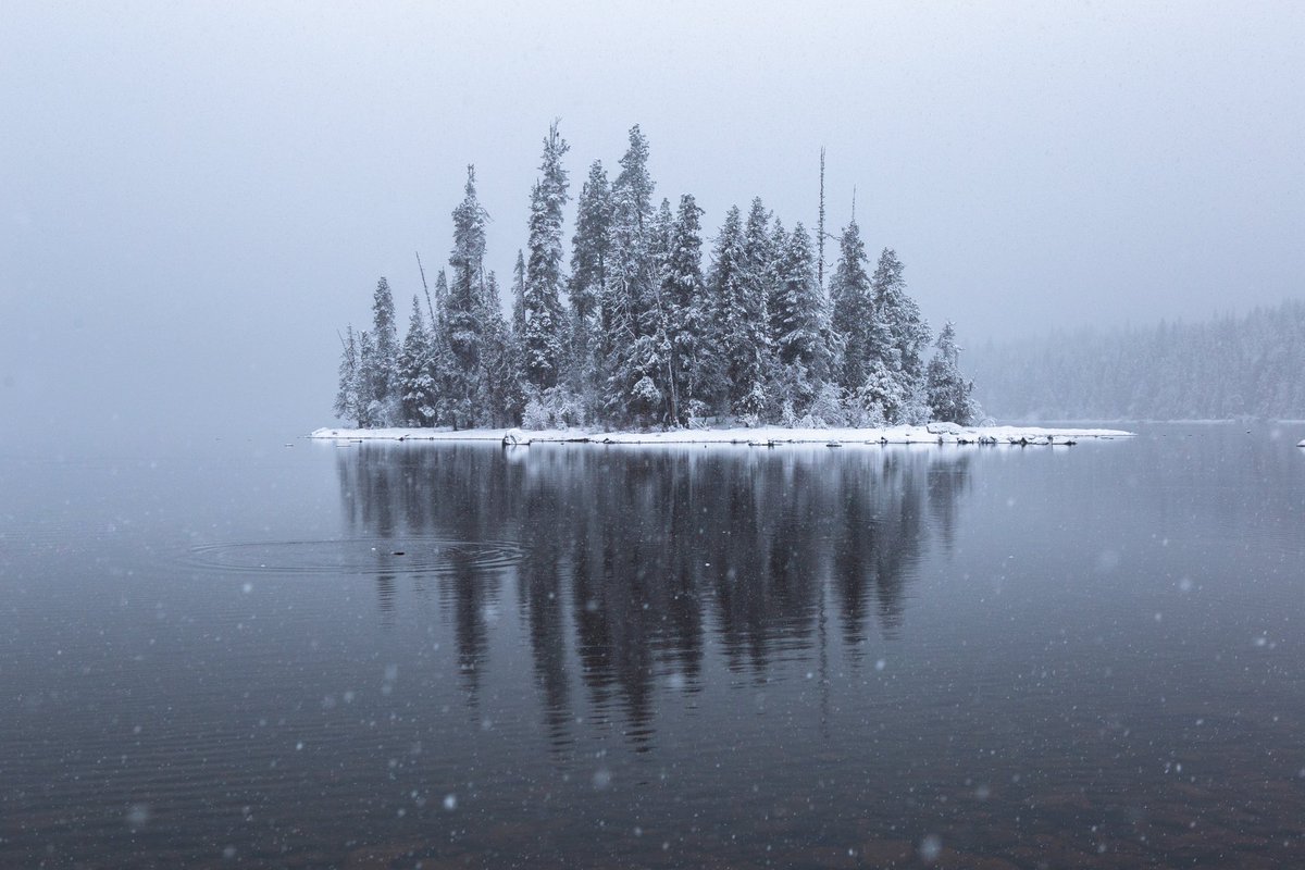 ElliotHawkey's tweet photo. winter scenes in washington state https://t.co/sYkvQaiRr7