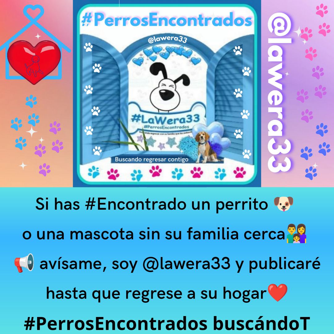 reevesmason1's tweet photo. RT @lawera33: @reevesmason1 @lilianncg @PerdiDogsMx @PAOTmx @RamkarC @animalitoscdmx @por_perros @PrrosPerdidosMX @prensaanimal4 @milagroscaninos @TodosSomosAzcap Gracias por resguardarlo y darle una oportunidad de vida 💞
#LaWera33 #PerrosEncontrados https://t.co/BTinv1NbgY