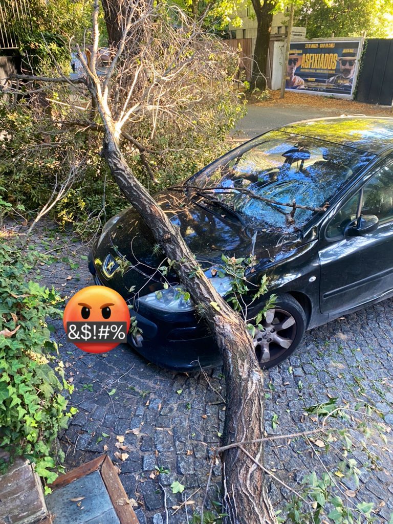 grdcv65's tweet photo. @SanIsidroGob Que bueno!!! ,ojala tomen todos los reclamos para evitar accidentes
Arboles que hace mas de 20 años que no se podan
Ya hice todos los reclamos y todavia no tengo noticias
Saludos https://t.co/6Uw9a2WGQd