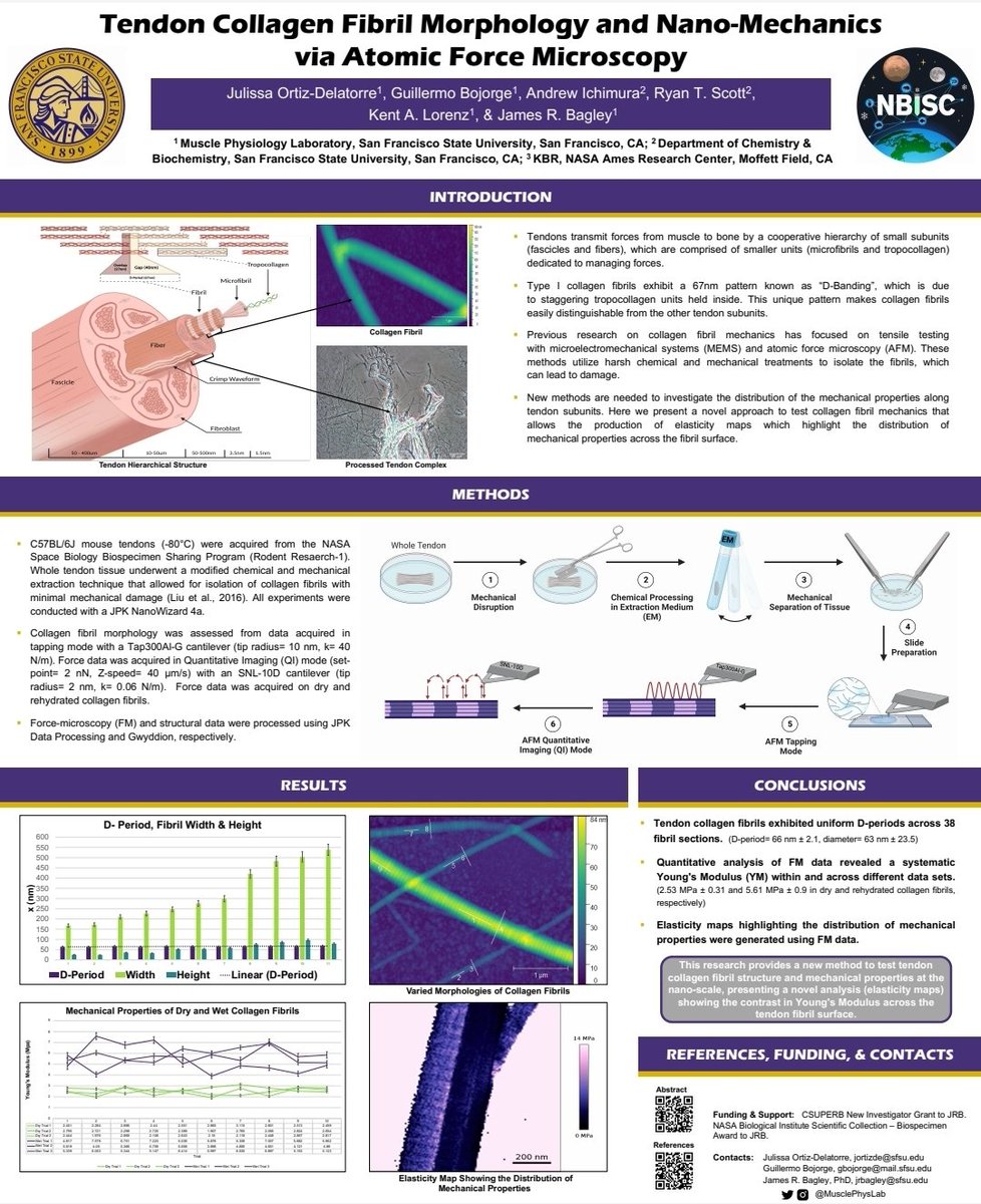 Muscle Physiology Lab tweet media
