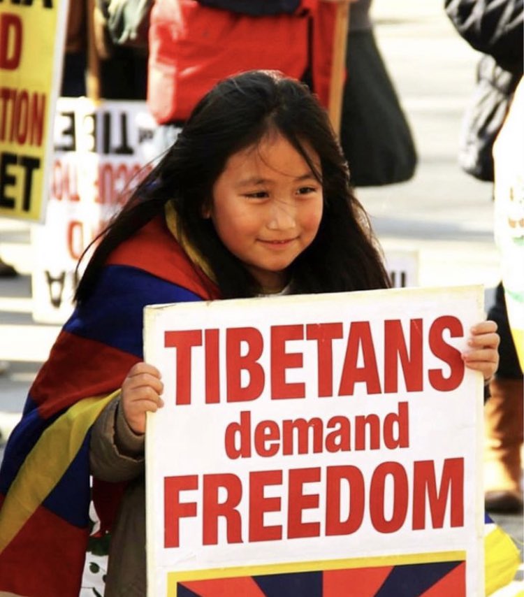 tenzin dadon tweet media