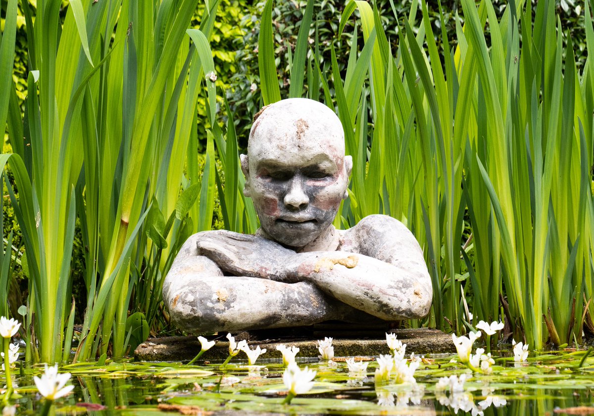 hugo_murtas's tweet photo. 📸 Les jardins du château de la Ballue @LaBallue 🌳 https://t.co/UzUGWPibp1