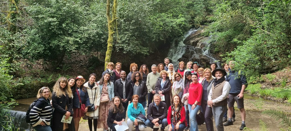 CopyTree - CA 21157 tweet media