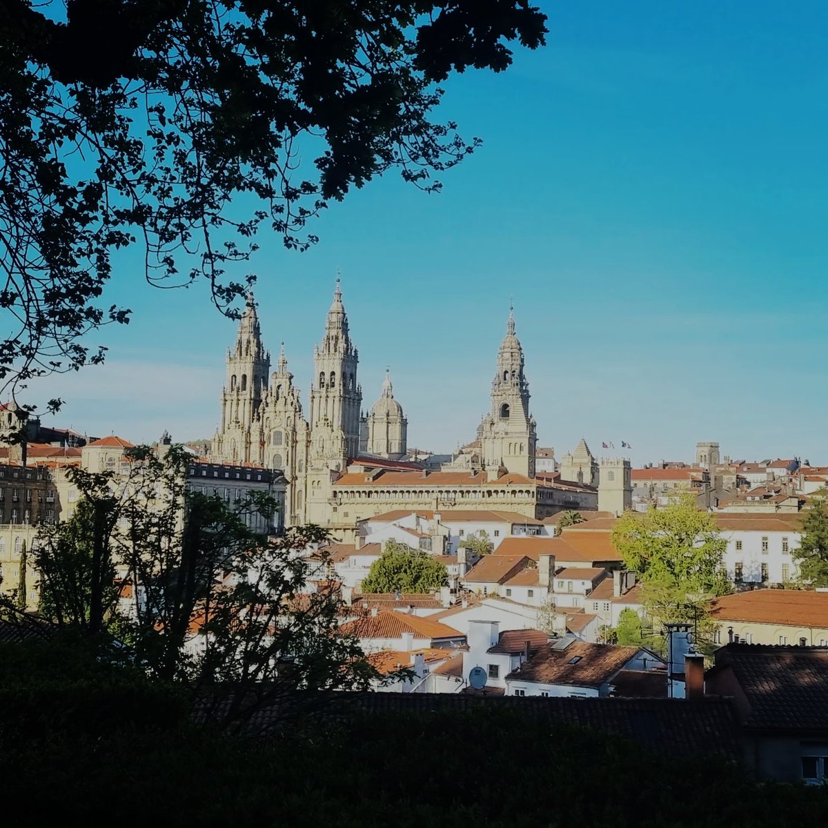 Fantastic time spent socializing and communicating 😊🍁🍀 #copytree #team