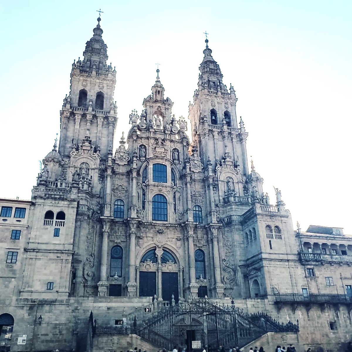 CopyTree - CA 21157 tweet media