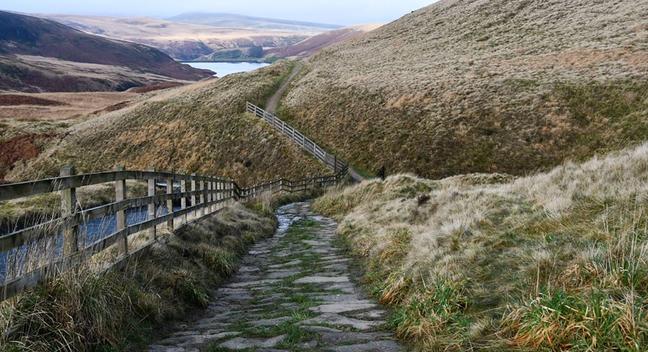 Heights Ultra Trail tweet media