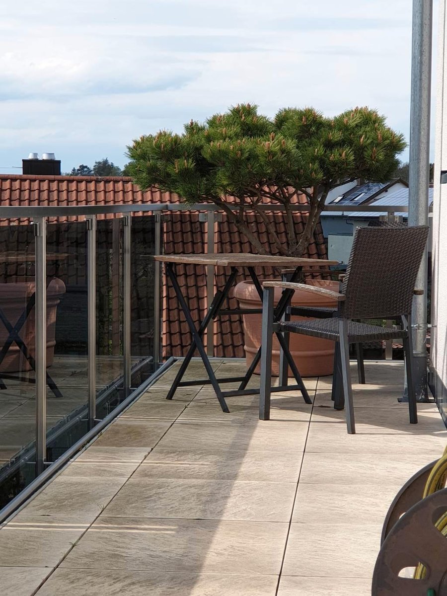 PinarelluPinien's tweet photo. Auch auf dem Balkon machen Satoshi's Pinien eine gute Figur. 🌳 Heute haben wieder 2 wunderschöne Exemplare ihre glückliche Besitzerin gefunden.☀️🌿😎 #BitcoinAcceptedHere #spendl #gesundesgeld #garten #pflanzen #frühling #gartendeko #meinschönergarten #baumschule #gartencenter https://t.co/CwyQwnk9Wr