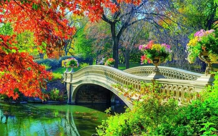 جمال الدنيا بجمال العلاقة مع الله 
فإن أردت حياة جميلة فاقضها كما يريد ربك 

لا كما تريد أنت..
أصبر على الطاعات ..
أصبر عن المحرمات ..
أصبر على الأقدار المؤلمة ..