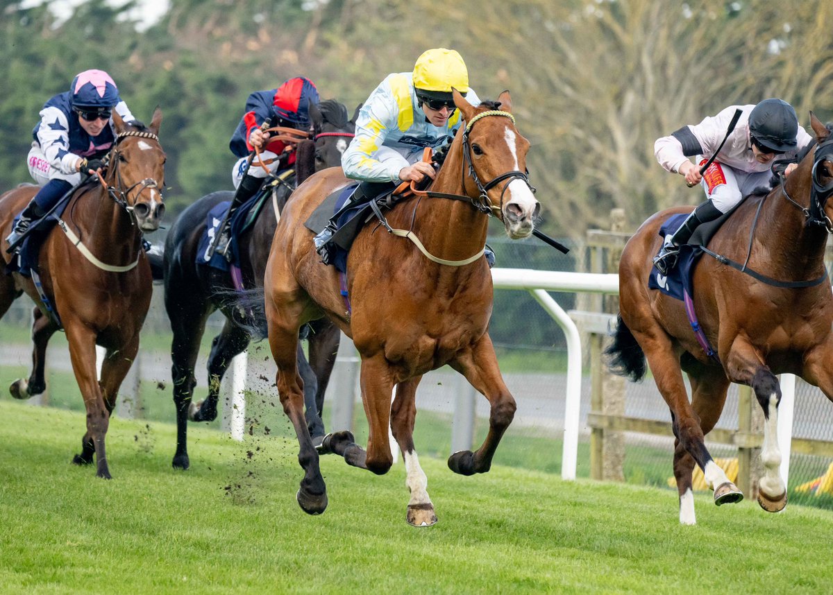 BrightonRace's tweet photo. RACE 4 RESULT - Mum, Nanny, Dolly - Queen Of Hearts Handicap

🥇 Otago
🥈 Intercessor
🥉 Rawyaan

Jockey: @BennettC94 
Trainer: @jimboyle17 
Owner: P And Mrs L Rowe And John Turner

📸 @dcoolimages https://t.co/idagsVRdhu