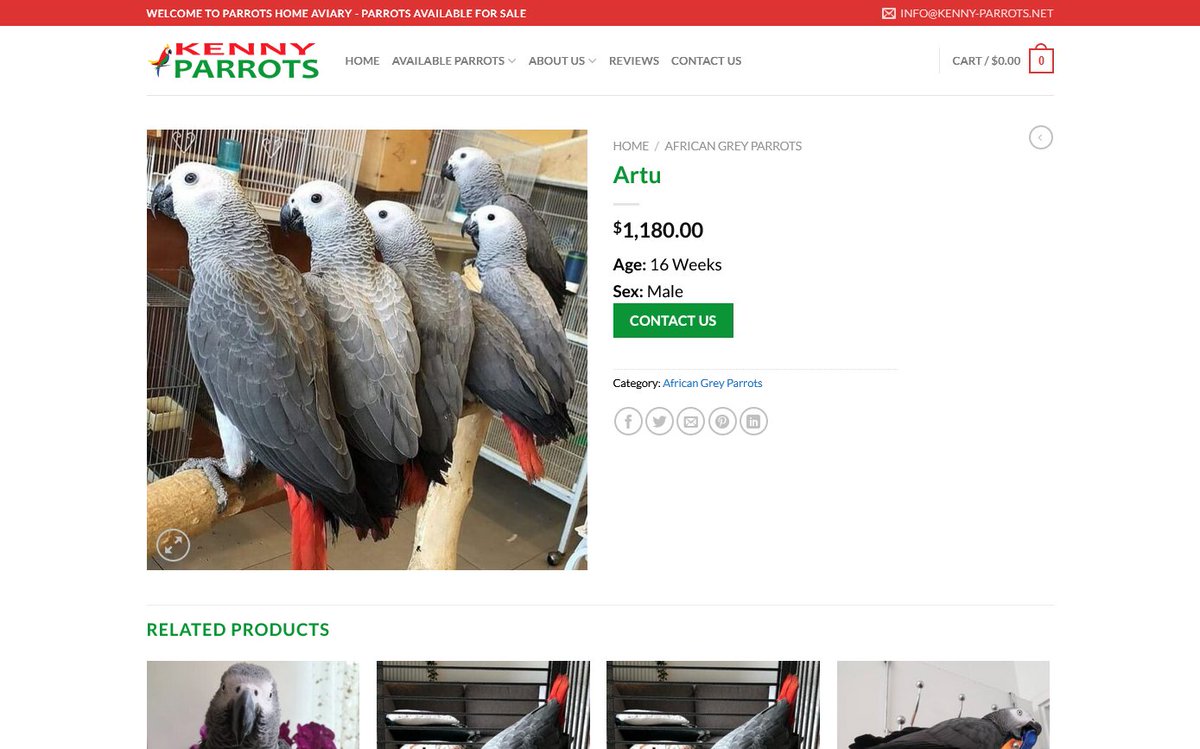 aa419's tweet photo. Why do we find the same picture on
/kenny-parrots.net ?
- called "Lucky" supposedly 16 wks old? #PetScam
Registar @Namecheap, host @Hostinger
Very old "baby birds", aka stolen pics.
#ChickenRun https://t.co/xQRqDsC46A