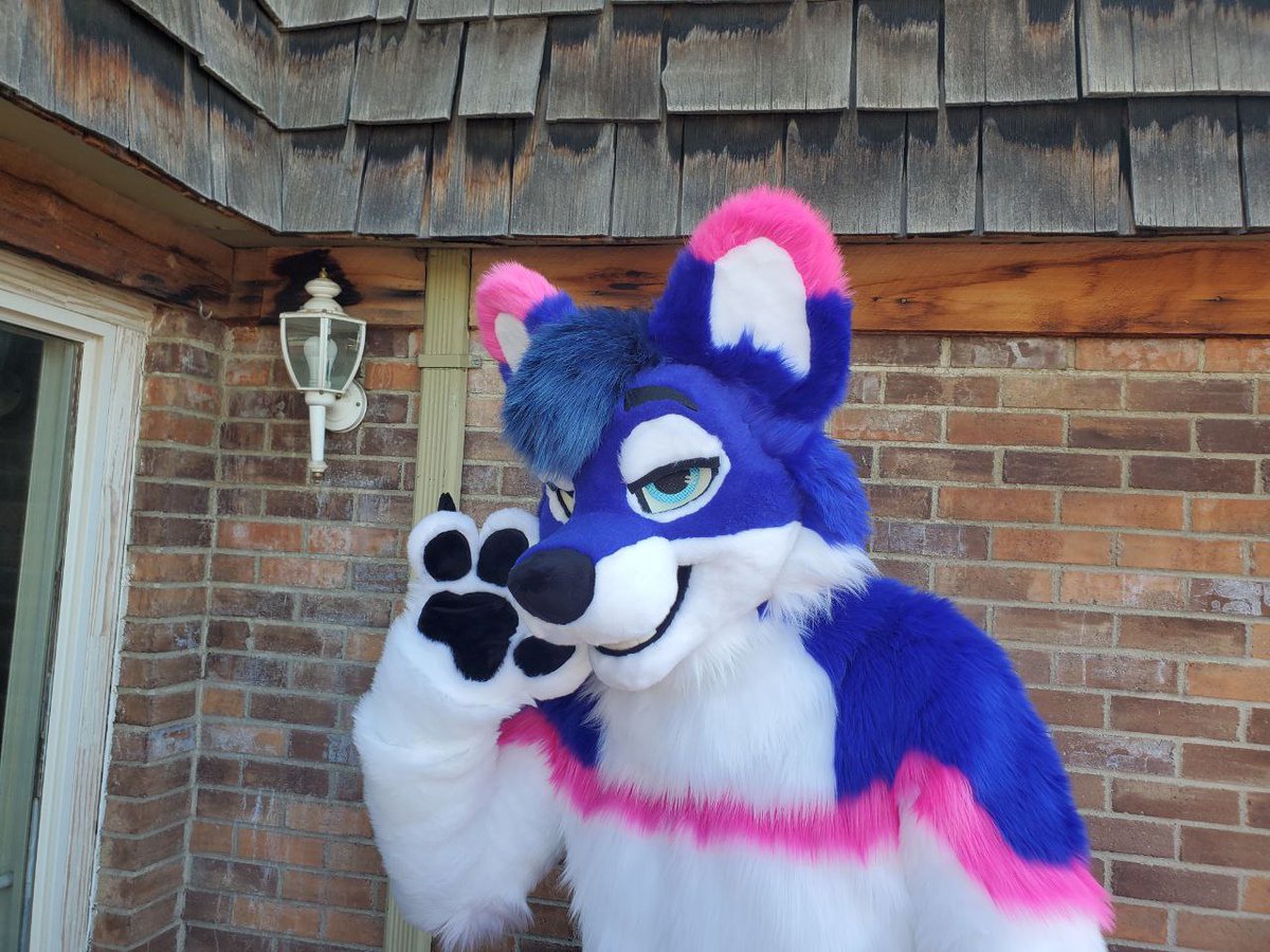 Physwolf 🔜 Furality, AC on Twitter "After 20+ years in the fandom I