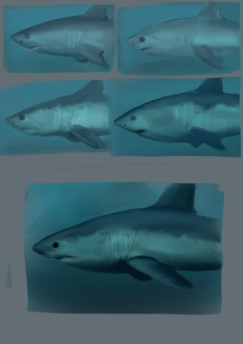 jackpdraws's tweet photo. A quick painting exercise 

#digitalpainting #sharkpainting #porbeagleshark https://t.co/vp1WvZNXDV