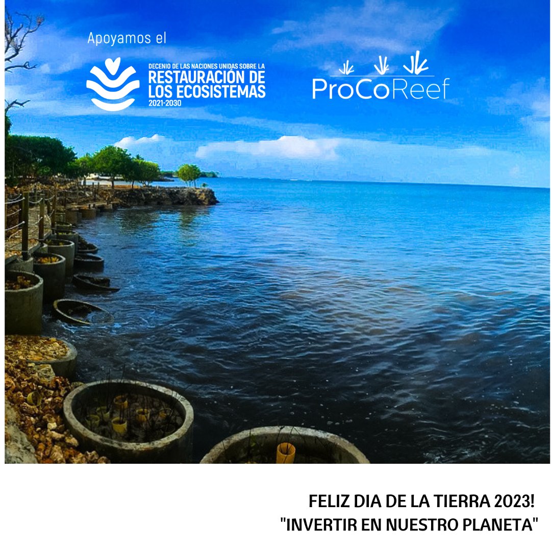 ProCoReef's tweet image. Nuestra economía depende al 100% de la naturaleza, existe una gran brecha de financiamiento, por esto Innovamos para restaurar creando productos como los créditos de biodiversidad marinos n9.cl/56tuf

#DíaDeLaTierra
 #CreditosBiodiversidad #InvierteEnNuestroPlaneta