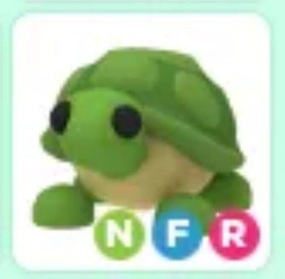 kvvara_'s tweet photo. nfr turtle Giveaway {🍵}
.:☆*:･'
-Follow @kvvara_  + @mvvina_ 🌴
- Like + rt 
🐢
Extras in thread ! https://t.co/eNWsc7Enwm