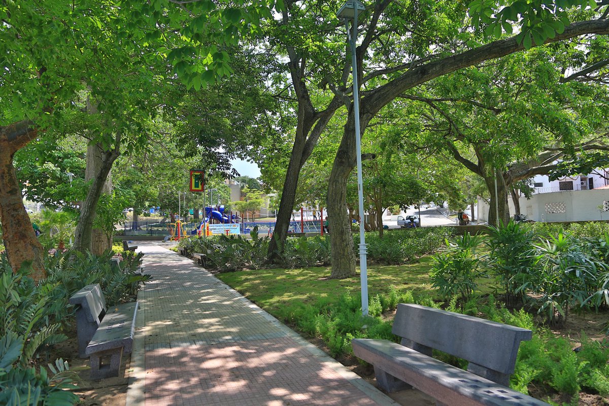 ¿Te imaginas una ciudad donde la biodiversidad🌳 sea el centro de la vida urbana?

Con estas imágenes de la ciénaga de Mallorquín y de nuestros parques, celebramos el #DíaDeLaTierra 🌍 y reafirmamos nuestro compromiso de hacer nuestra ciudad más verde 🌱.
#Biodiverciudad