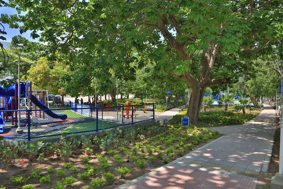 DesEconomicoBAQ's tweet photo. ¿Te imaginas una ciudad donde la biodiversidad🌳 sea el centro de la vida urbana?

Con estas imágenes de la ciénaga de Mallorquín y de nuestros parques, celebramos el #DíaDeLaTierra 🌍 y reafirmamos nuestro compromiso de hacer nuestra ciudad más verde 🌱.
#Biodiverciudad https://t.co/5lokCTdEFU