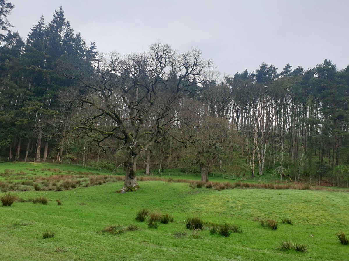 A very wet Kirkoswald walk… #fellfootforward
#nationallotteryheritagefund