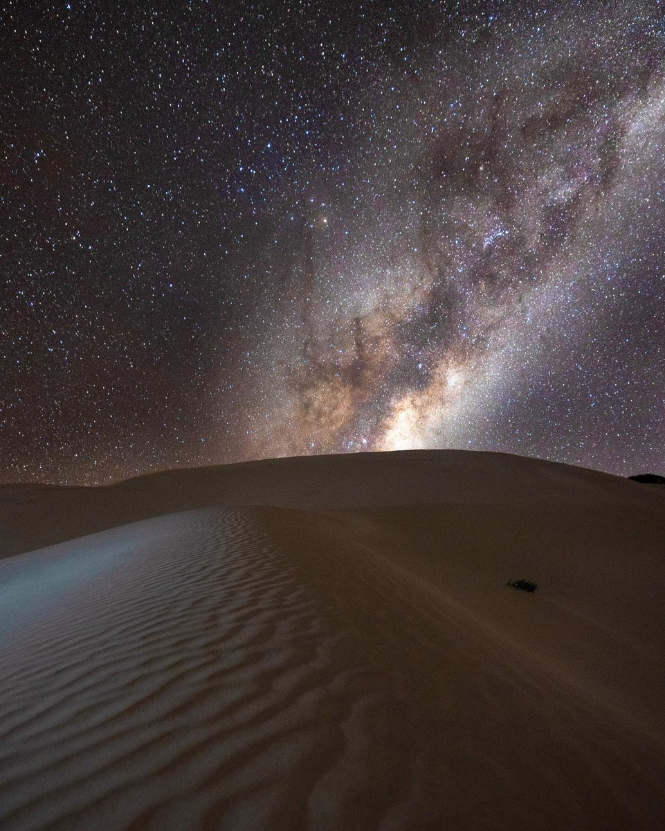 in_focus_studios tweet media