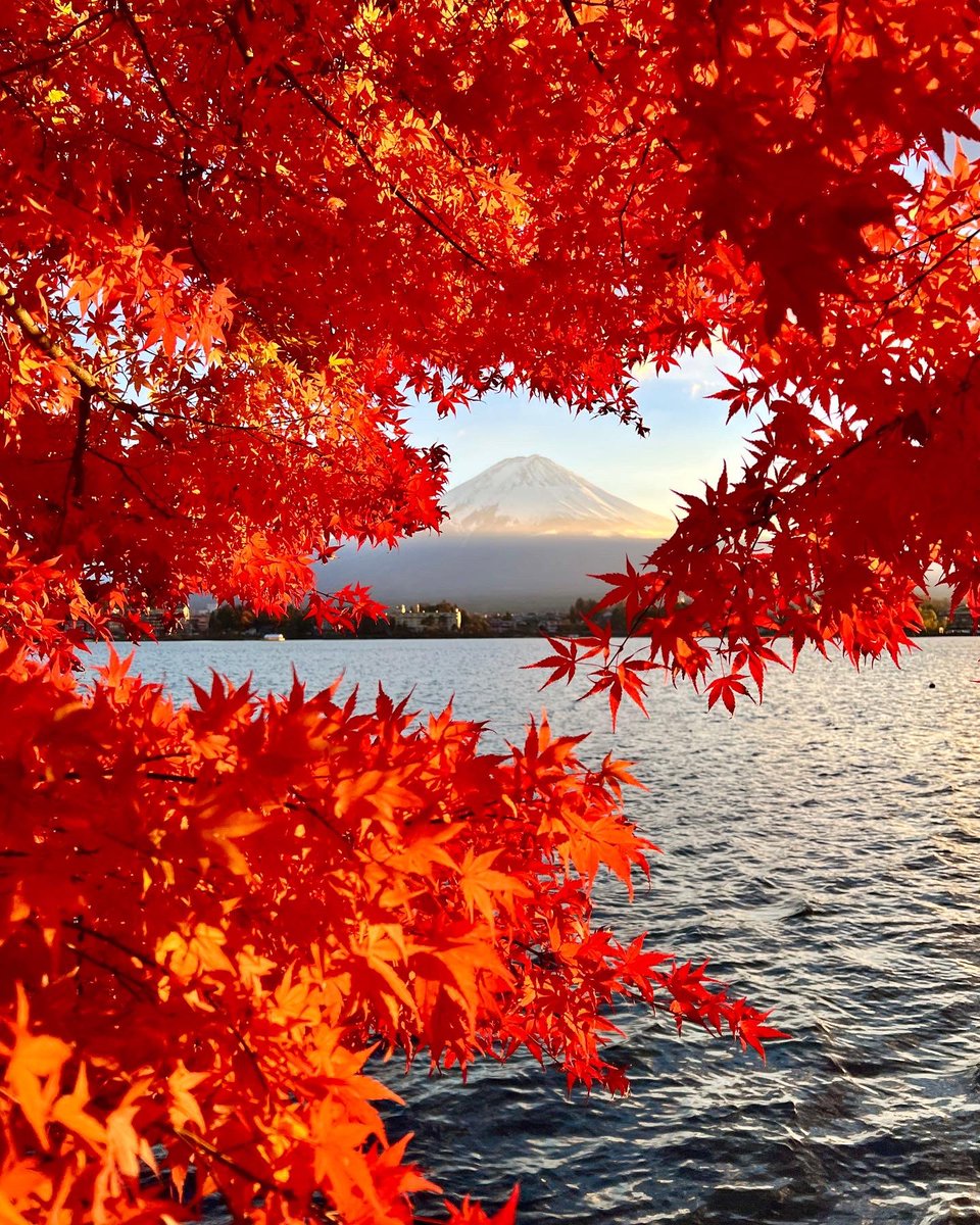 in_focus_studios tweet media