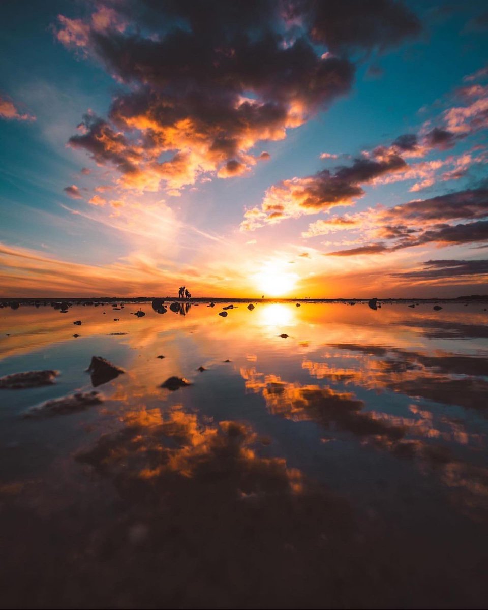 in_focus_studios tweet media