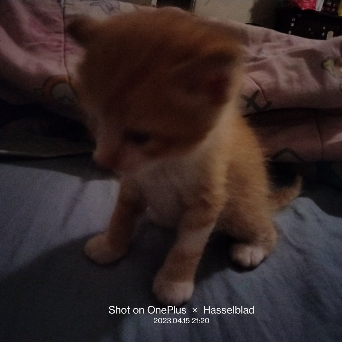 ghostkillern84's tweet photo. #NewProfilePic https://t.co/vWRrk5QyYi