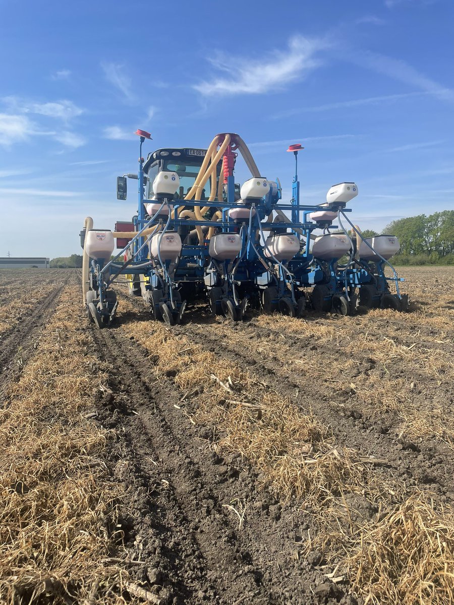 Hmstr_kmbts's tweet photo. J’investis quotidiennement dans la planète en renforçant le bon fonctionnement de mes sols #EarthDay2023 🌍 #striptill @orthman #A2CS @cet_epi_mepate https://t.co/mzJk0O0Fhl