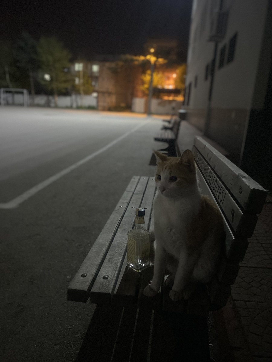 Oğuzhan ✨ tweet media