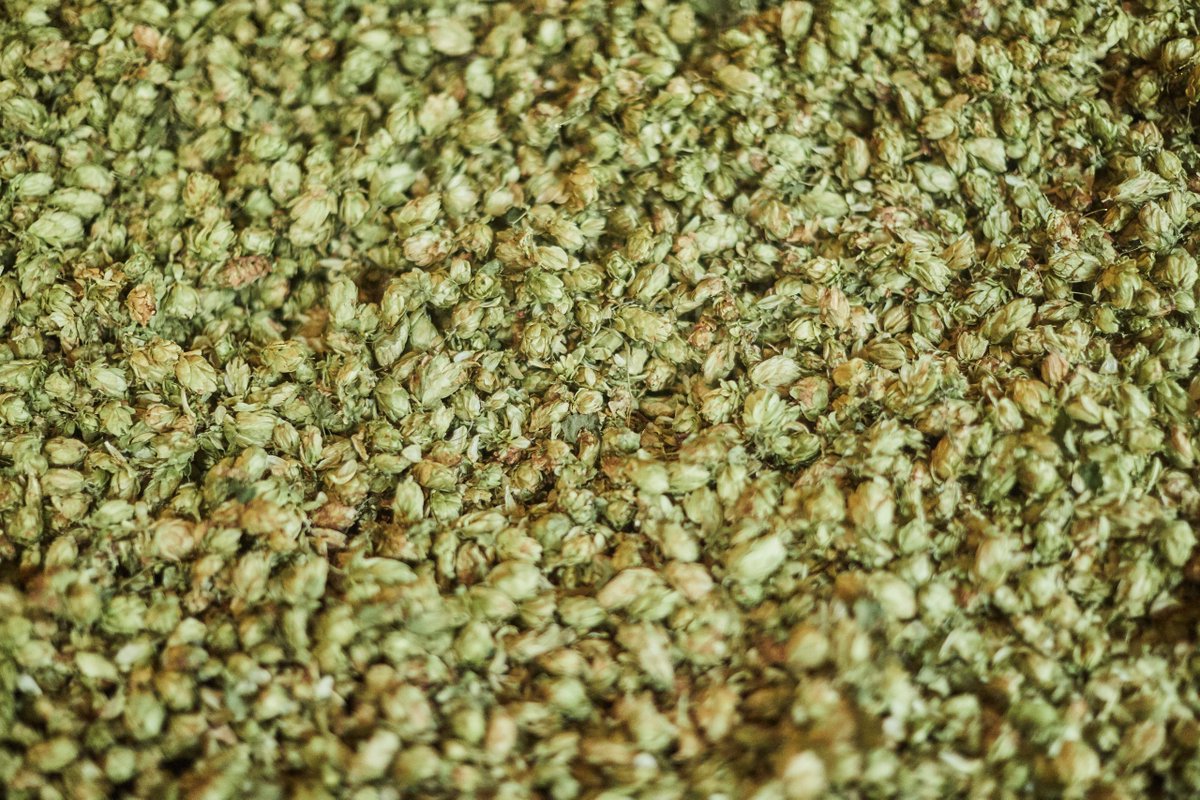 It’s never too early to start thinking about Father’s Day! 💚 On Sunday 18th June, treat that main man of the hour to our homebrew hops, a tour and tasting voucher, or even one of the many events we’re hosting over the coming months 🎁

#fathersdaygift #dadsday #countrysidelife