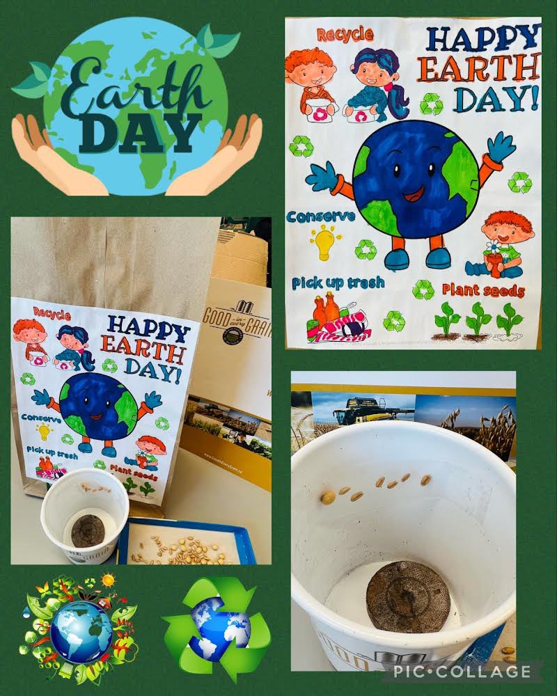 SRWS_YCDSB's tweet photo. Our Grade 1/2 class will be planting seeds this weekend in honour of Earth Day 🌎 @paonesl @YCDSB https://t.co/0HaOezFPRu