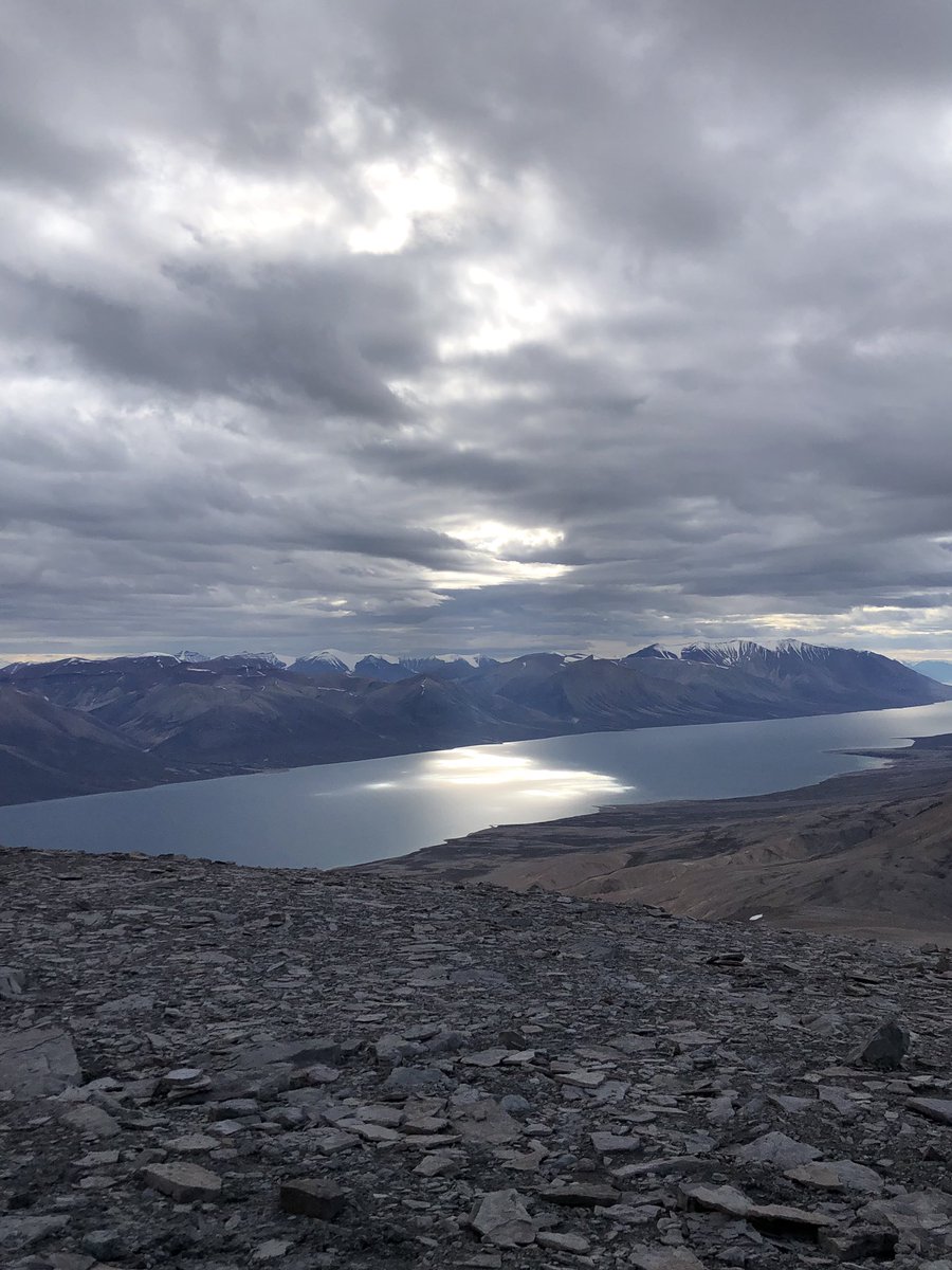 GrzegorzNiedzwiedzki tweet media