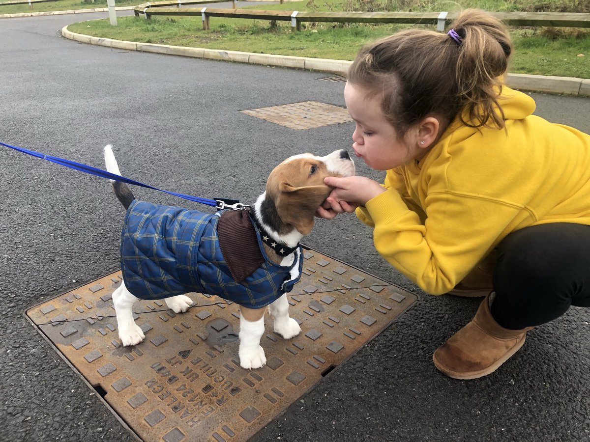 nickypearson271's tweet photo. #NationalBeagleDay https://t.co/Mm4itZDwrt