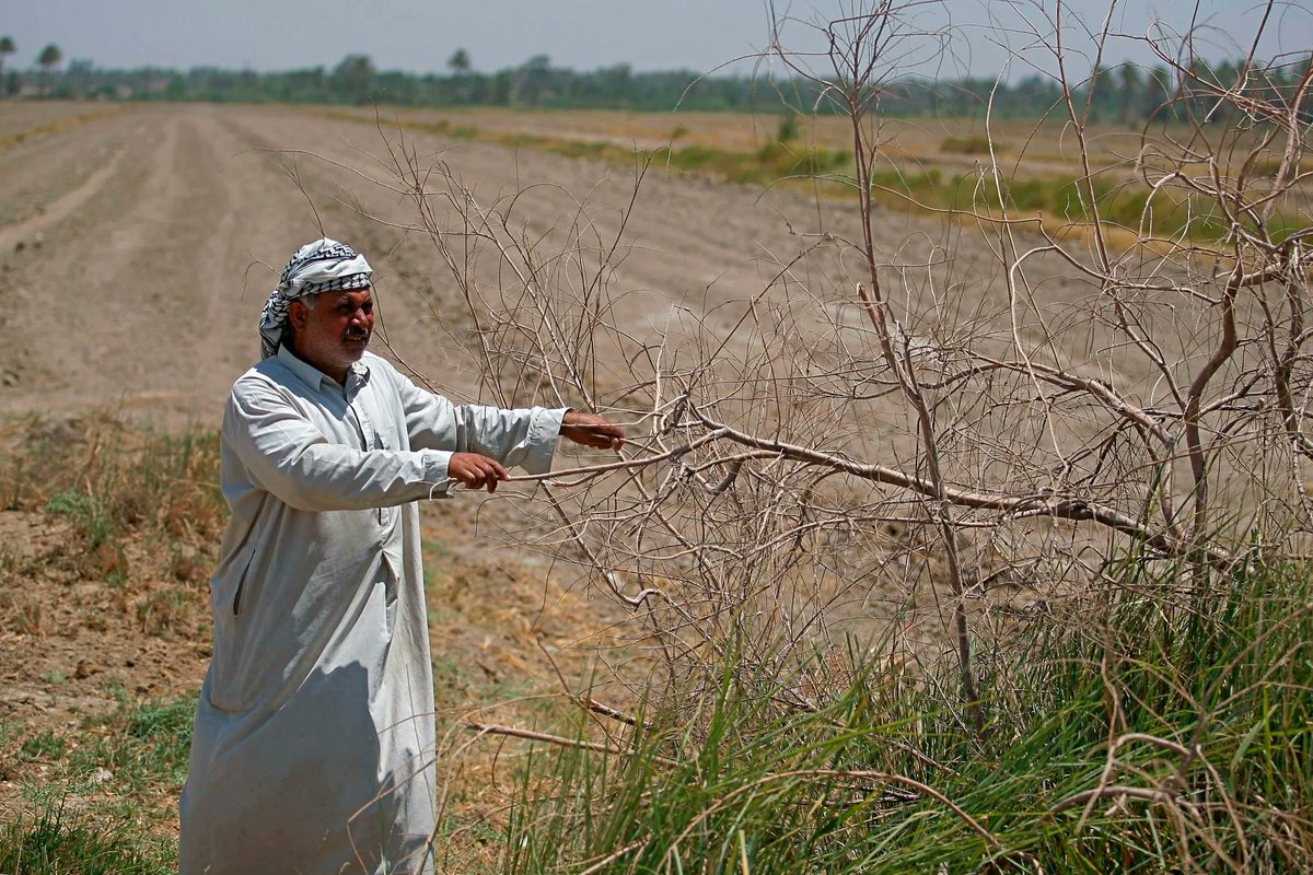 wilsonquarterly's tweet photo. Another 🌍 #EarthDay2023 lookback! Now we hear from @PSchwartzstein about how the intersections of #climate and #governance are challenging Iraqi farmers. 
https://t.co/f3jEAZIQa4 https://t.co/k0y1iCYf9K