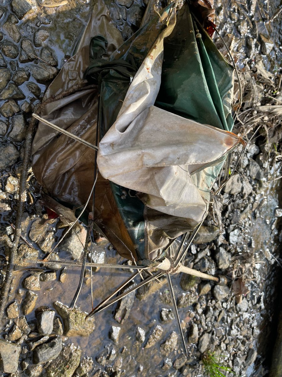 KateMcElderry's tweet photo. Stream clean up with my family this morning: trash ( π)
and treasures ( π’)
found. This handsome box turtle was a great reminder to keep at it! πβ€οΈ#streamcleanup #pollution #naturelover #EarthDay2023 https://t.co/rl2ACxMRBv