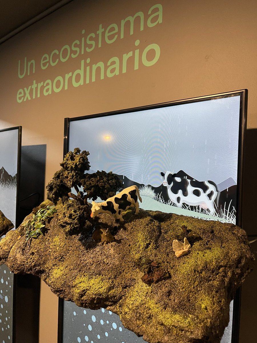 fonag's tweet photo. Todos invitados a @yakuquito conocer la nueva sala “El páramo de Quito más cerca de lo que imagino” ⛰💦 un trabajo conjunto entre @aguadequito, #FONAG, Comunidad de San Francisco de Cruz Loma y  Museo Yaku. 

La sala muestra la importancia del Páramo como fuente de agua el DMQ. https://t.co/Bptl7qIgZl