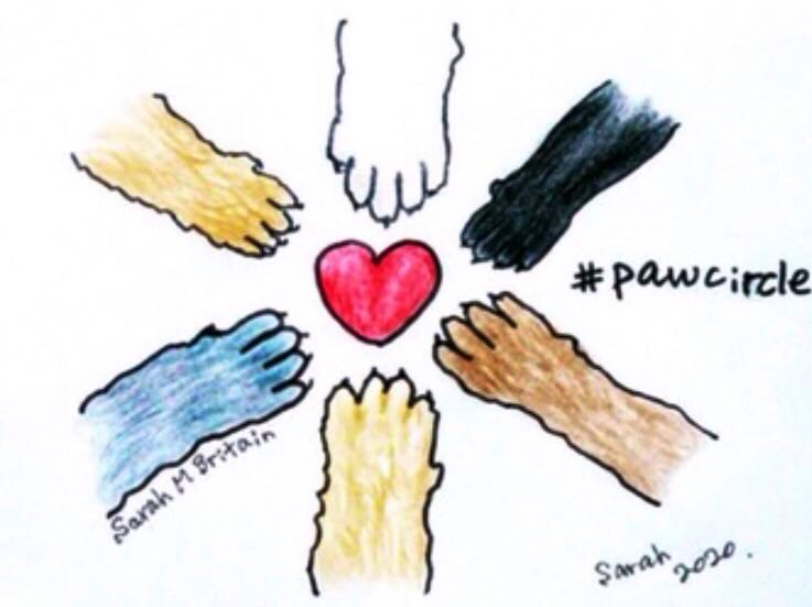 SophieMolly20's tweet photo. @PrimroseTheCat_ Sending hugs & prayers 🙏Also sending positive vibes 🥰🥰🥰 & starting a paw circle for your mum. Healing ❤️🩹 purrs to yur mum! Projecting health to yur sweet momma😘~
💕Sophie & Molly
#Pawcircle #SendingHealingVibes
#ProjectingPositivity https://t.co/IPM98kEKYF