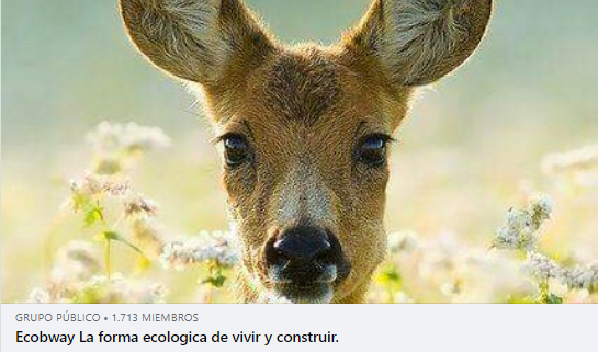 ArzateCalva's tweet photo. Estamos enfermos de forma energética, espiritual, económica y física. Es urgente Actuar armónicamente con el medio ambiente. Visita: https://t.co/uVPBnS33sj  @geproarqsustentable1562 https://t.co/mVQVAcqv1k
