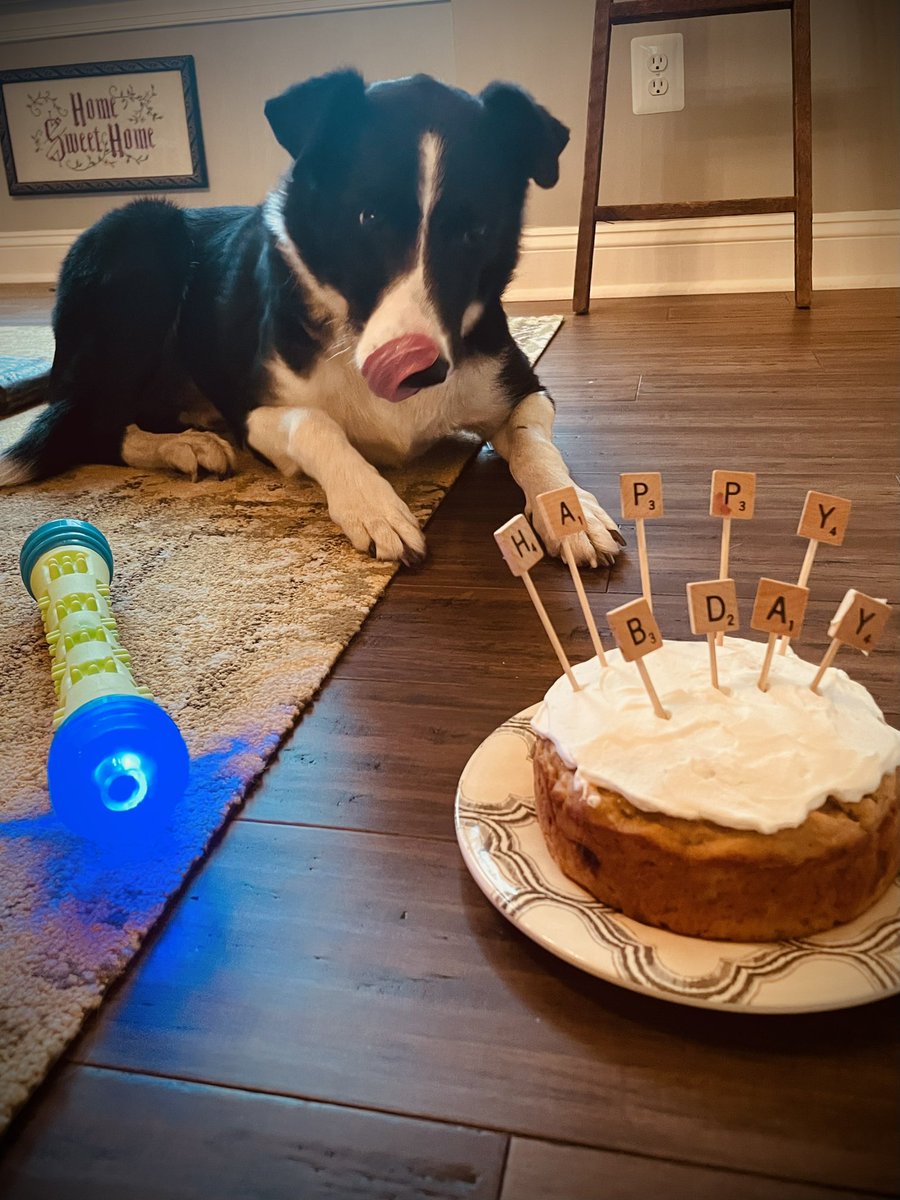 PenderbrookGCM's tweet photo. Poa’s 10th Birthday @DogsOfTurf https://t.co/yOBmihwr50