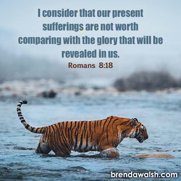 brendakwalsh's tweet photo. "I consider that our present sufferings are not worth comparing with the glory that will be revealed in us." - Romans 8:18

#bibleverseoftheday #struggle #gloryholy https://t.co/mlCenzZ6bc