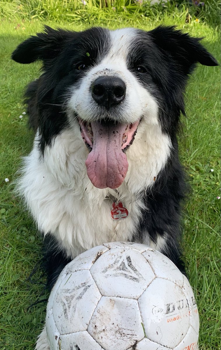 The best therapy on earth
