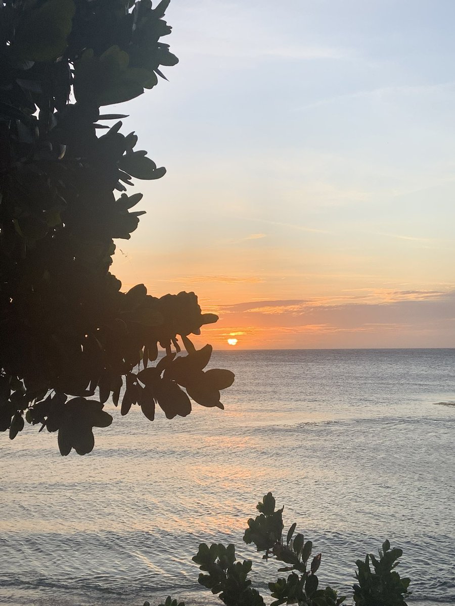 Quote tweet with a random sunset pic