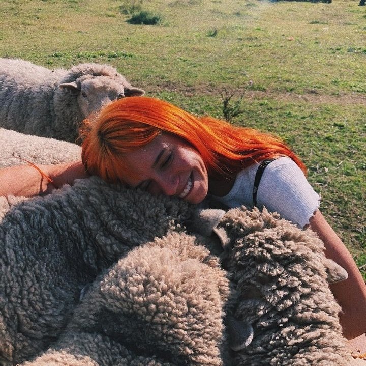 coislaqueen's tweet photo. ABRO HILO DE CONNIE ISLA CON ANIMALITOS PORQUE ES UN MIMO AL ALMA Y ES LO MÁS TIERNO QUE VAN A VER🥺💛 https://t.co/dEHM1aWFca