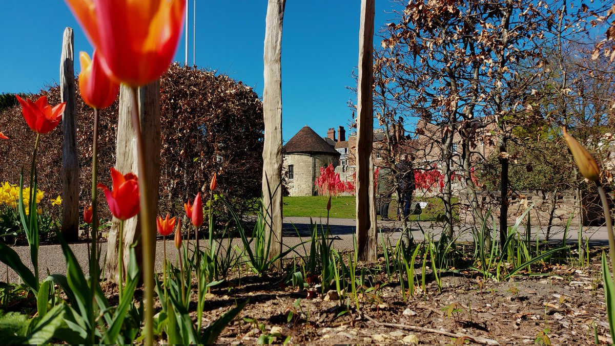 BeaLast's tweet photo. Revisited #York to continue the #creativeprocess. 200 more of the #handcrafted #TheRedBags installed at @YorkArtGallery in the @YorkshireMuseum gdns. Love how the installation is connecting with its surroundings @AestheticaMag #AestheticaArtPrize https://t.co/uF2hz3Ch6n